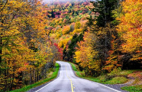 West Virginia