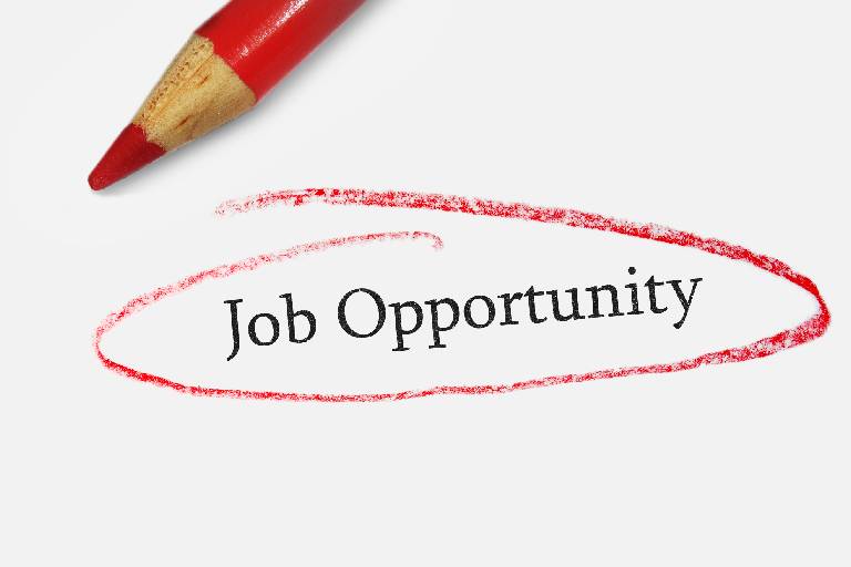 Job Opportunity